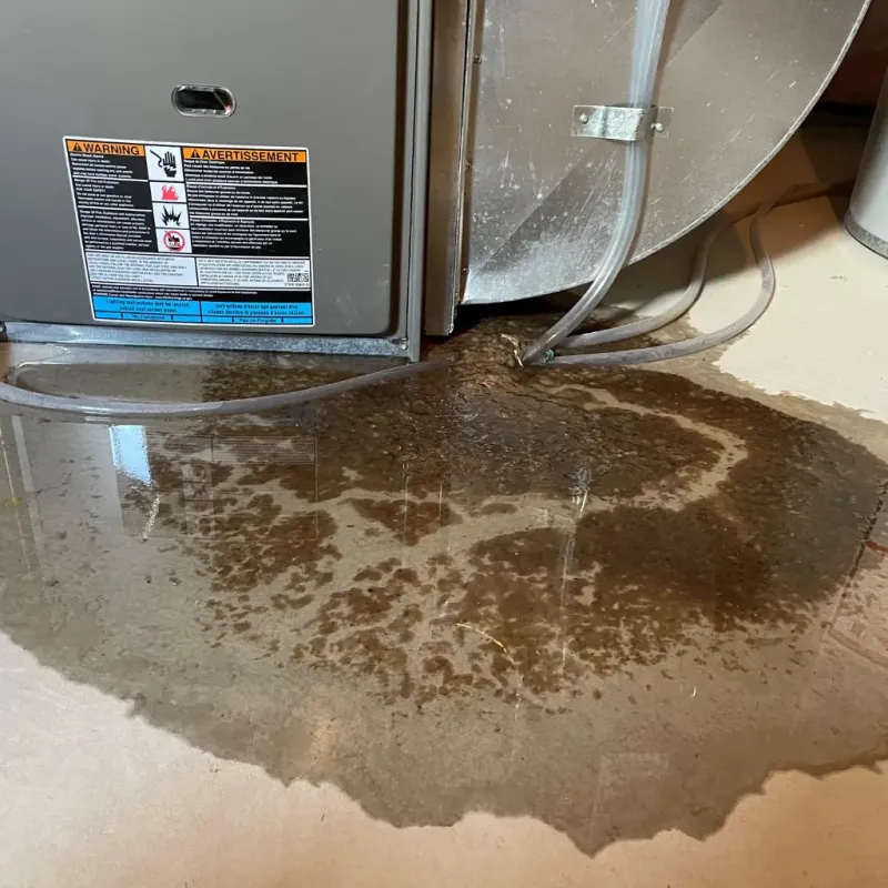 Appliance Leak Cleanup in Morristown, IN